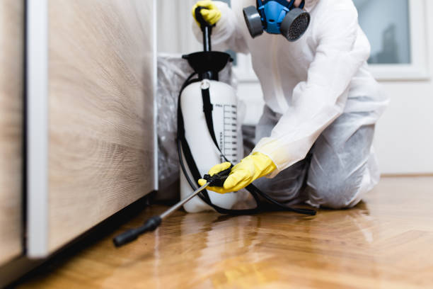 Best Exterminator Services  in Harlan, IA