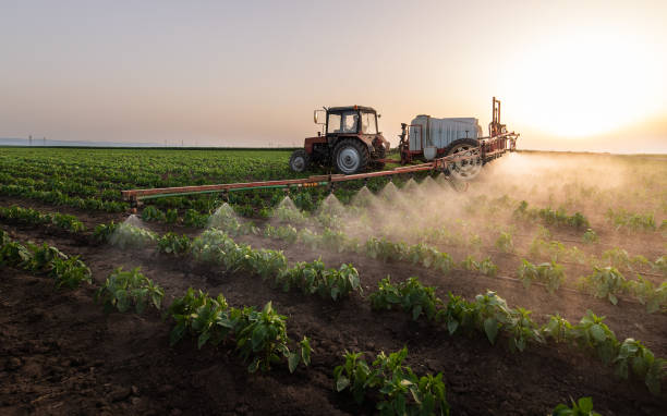 Best Best Pest Control Companies  in Harlan, IA