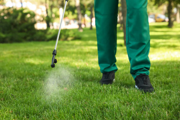 Best Best Pest Control Companies  in Harlan, IA
