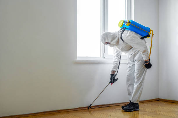 Best Exterminator Services  in Harlan, IA
