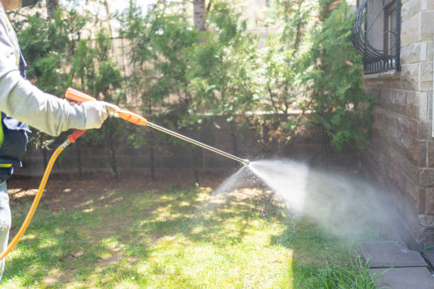 Best Emergency Pest Control  in Harlan, IA