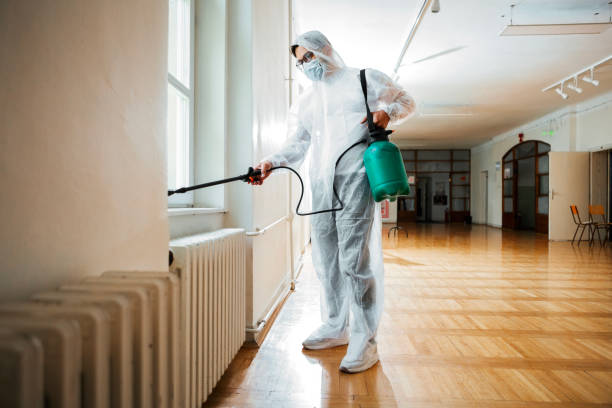 Best Pest Removal Services  in Harlan, IA