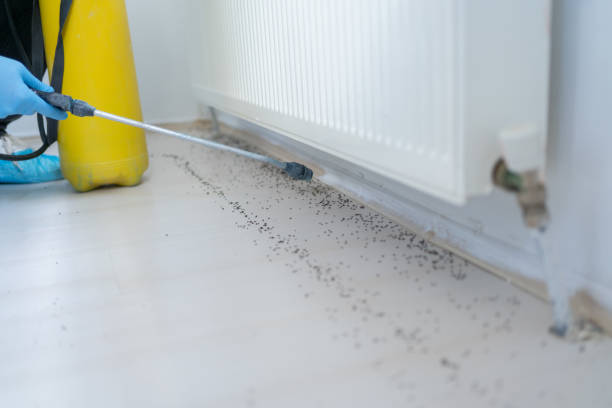 Best Pest Inspection Near Me  in Harlan, IA